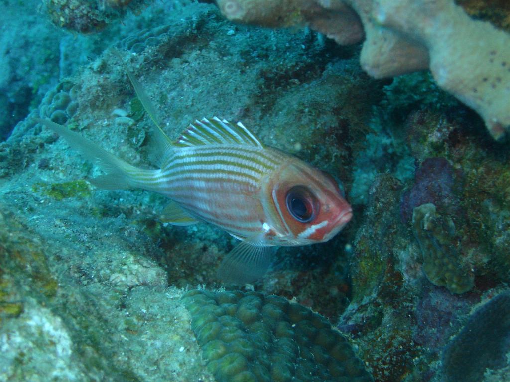 2008-05-12 14-32-03.JPG